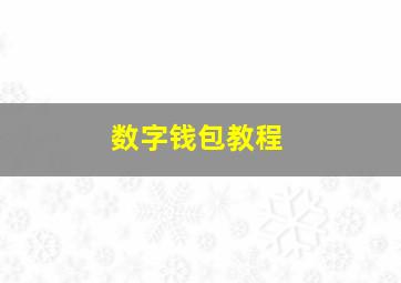 数字钱包教程