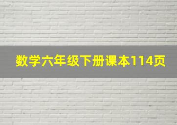 数学六年级下册课本114页