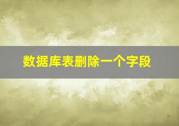 数据库表删除一个字段