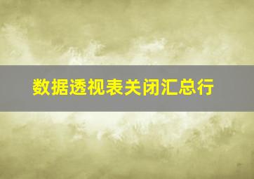 数据透视表关闭汇总行