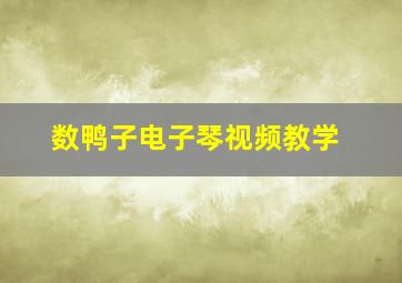 数鸭子电子琴视频教学