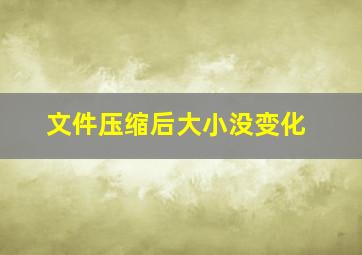 文件压缩后大小没变化