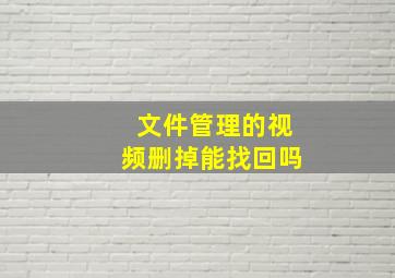 文件管理的视频删掉能找回吗