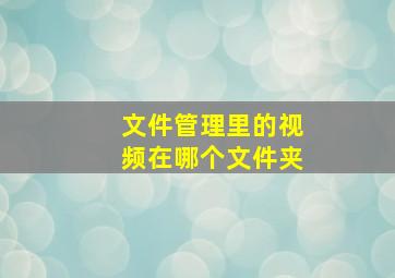 文件管理里的视频在哪个文件夹