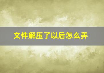 文件解压了以后怎么弄