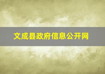 文成县政府信息公开网