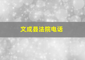 文成县法院电话