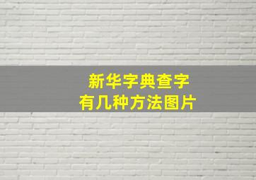 新华字典查字有几种方法图片