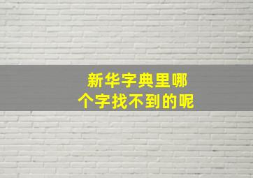 新华字典里哪个字找不到的呢