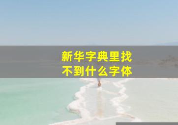 新华字典里找不到什么字体