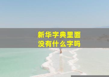 新华字典里面没有什么字吗