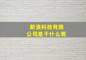 新浪科技有限公司是干什么呢