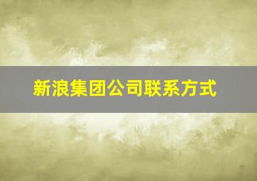 新浪集团公司联系方式