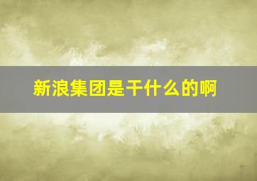 新浪集团是干什么的啊