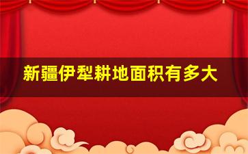 新疆伊犁耕地面积有多大