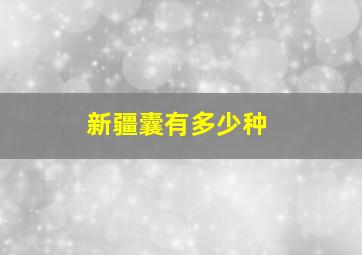 新疆囊有多少种