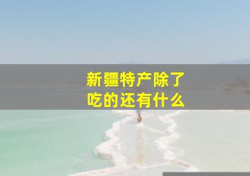 新疆特产除了吃的还有什么