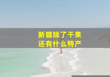 新疆除了干果还有什么特产