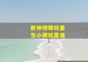 新神榜哪吒重生小哪吒是谁