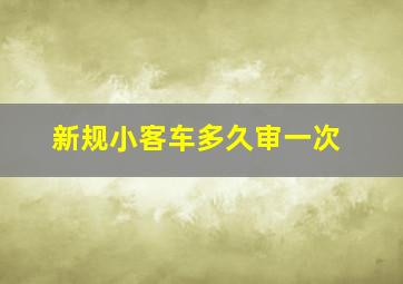 新规小客车多久审一次