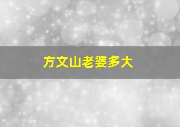 方文山老婆多大