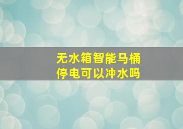 无水箱智能马桶停电可以冲水吗