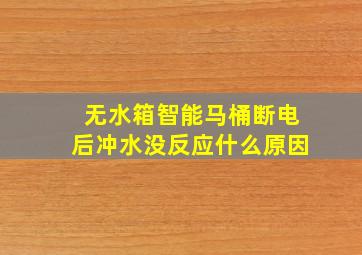 无水箱智能马桶断电后冲水没反应什么原因