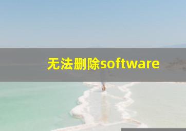 无法删除software