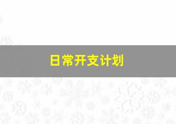 日常开支计划