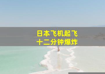 日本飞机起飞十二分钟爆炸