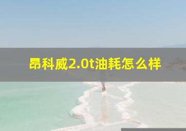 昂科威2.0t油耗怎么样