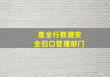 是全行数据安全归口管理部门