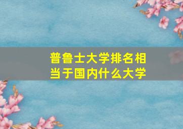 普鲁士大学排名相当于国内什么大学