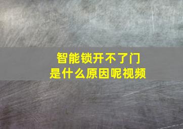 智能锁开不了门是什么原因呢视频