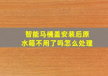 智能马桶盖安装后原水箱不用了吗怎么处理