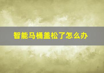 智能马桶盖松了怎么办