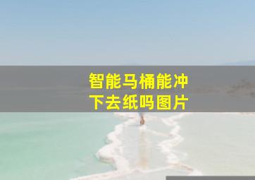 智能马桶能冲下去纸吗图片