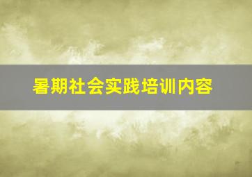 暑期社会实践培训内容