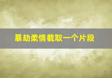 暴劫柔情截取一个片段