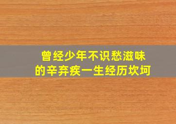 曾经少年不识愁滋味的辛弃疾一生经历坎坷