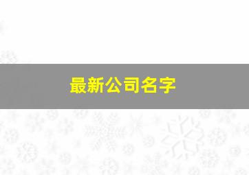 最新公司名字