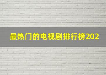 最热门的电视剧排行榜202