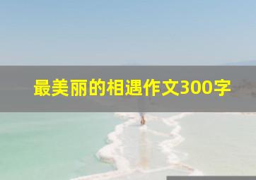 最美丽的相遇作文300字