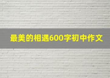 最美的相遇600字初中作文