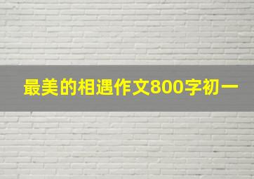 最美的相遇作文800字初一