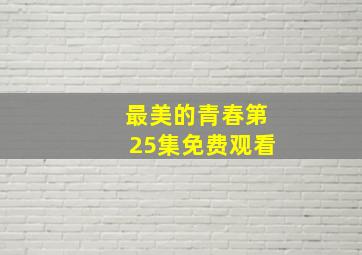 最美的青春第25集免费观看