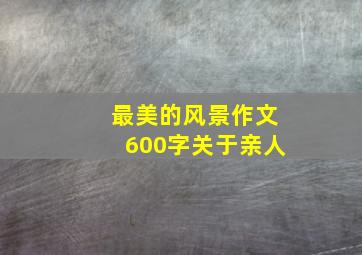 最美的风景作文600字关于亲人