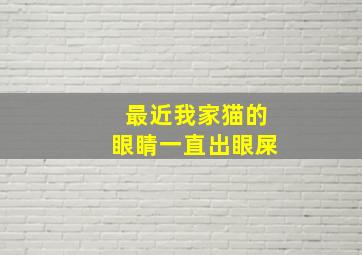 最近我家猫的眼睛一直出眼屎