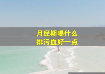 月经期喝什么排污血好一点