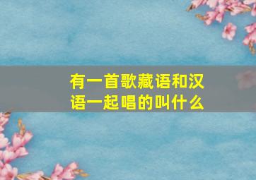 有一首歌藏语和汉语一起唱的叫什么